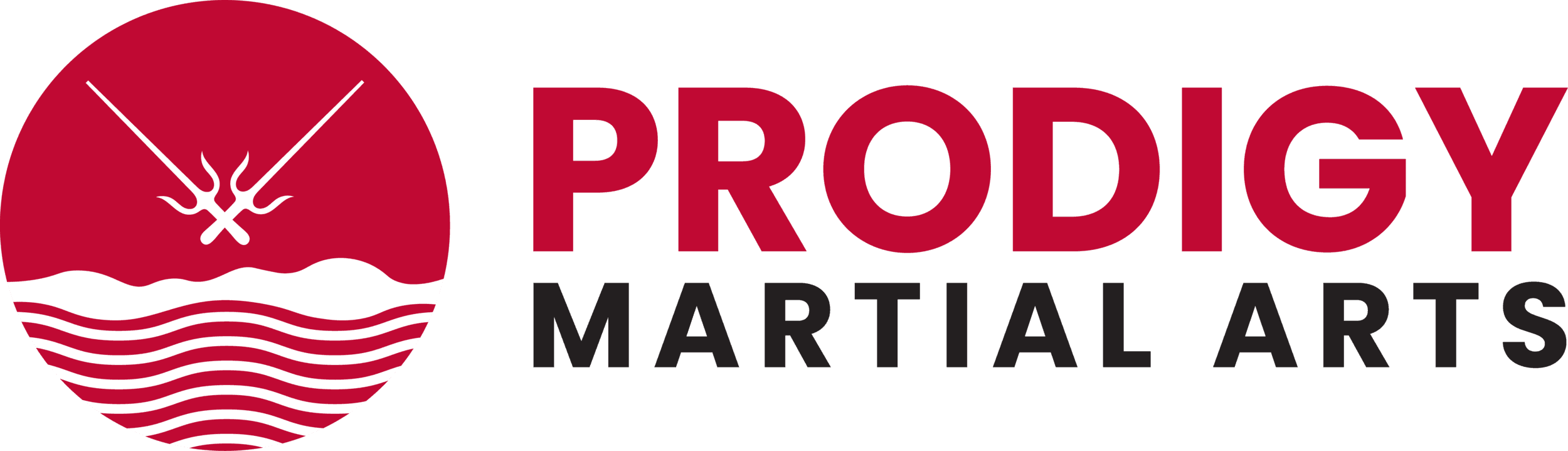 Prodigy Martial Arts