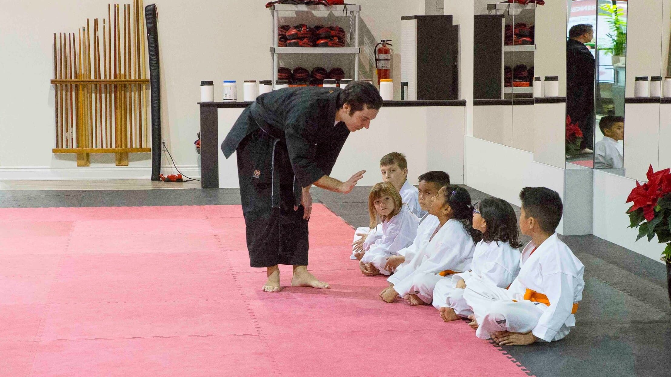Mini Ninja